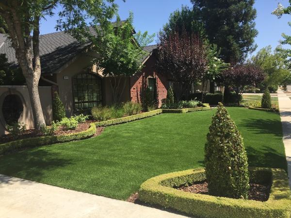 Synlawn Central California
