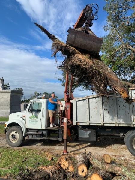 Able Tree Service
