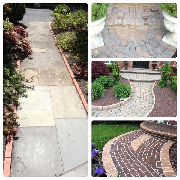 Squeeky Clean Services Inc & Shamrock Construction Solutions