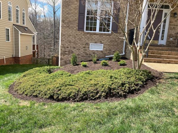 Dalane Lawn Care