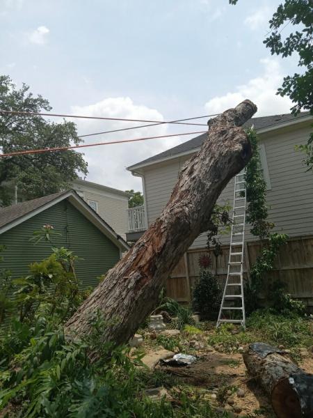 Affordable Tree Service LLC