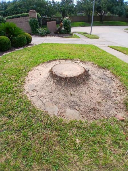 Affordable Tree Service LLC
