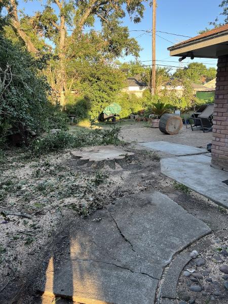 Affordable Tree Service LLC