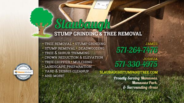 Slaubaugh Stump Grinding & Tree Removal