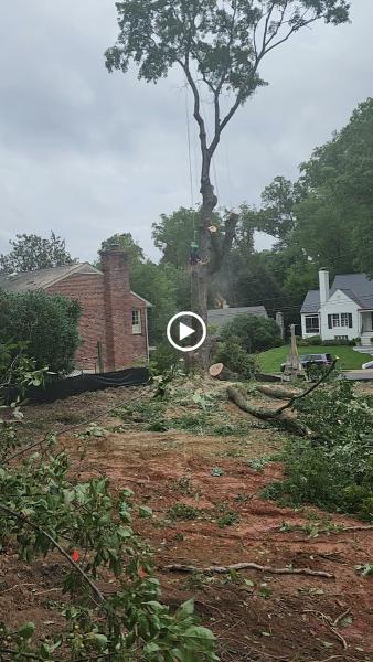 Gusman Tree Services