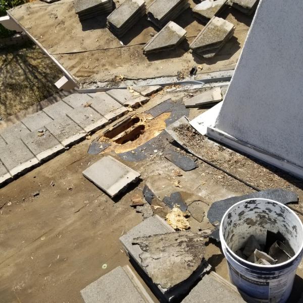 Sutton Roofing and Solar