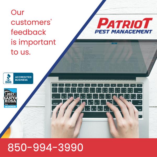 Patriot Pest Management