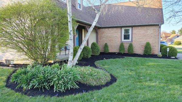 Steel Cuts Lawn & Landscaping LLC