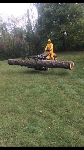 Low Cost Tree Services LLC