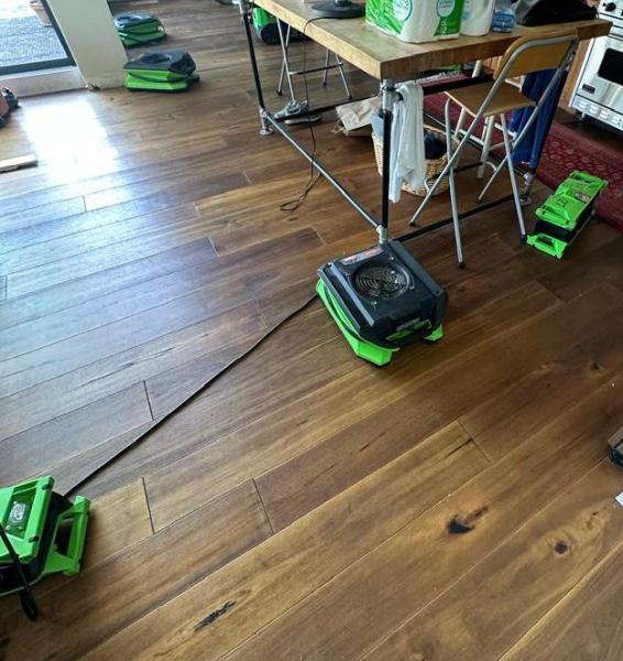 Nyh&b Damage Restoration