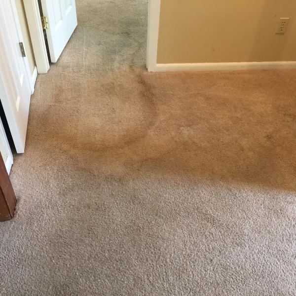 David's Carpet Cleaning