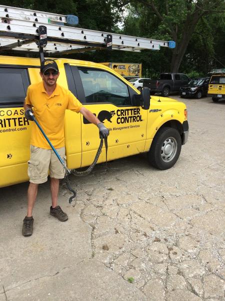 Critter Control