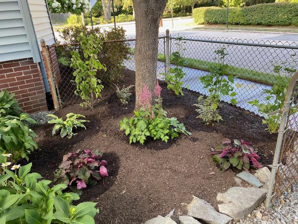 Lawns and Landscapes by Lofton