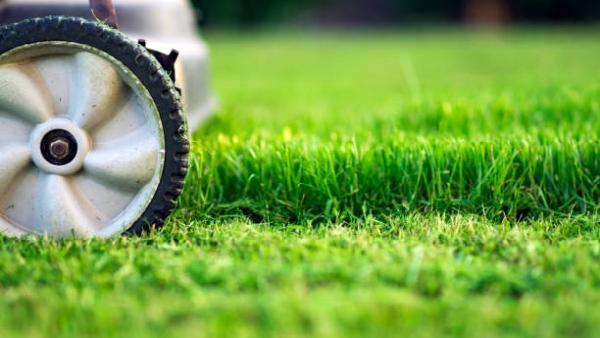 Independence Green Outdoor Services