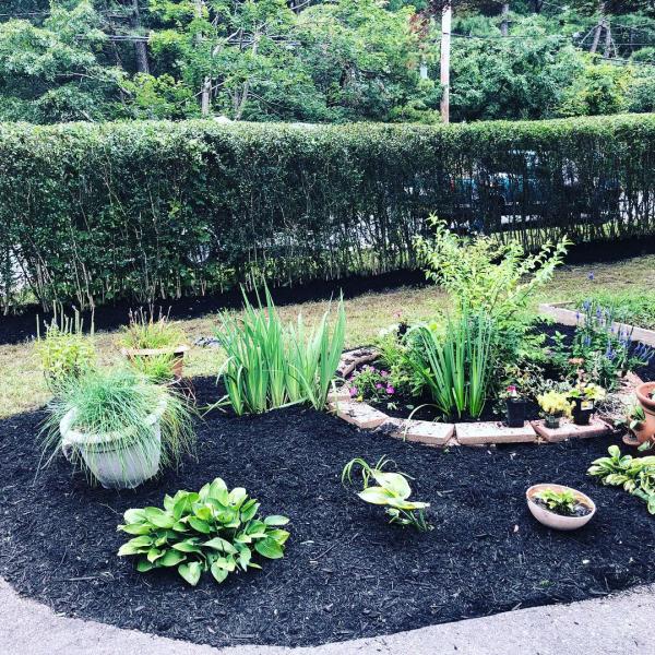 D & G Landscaping