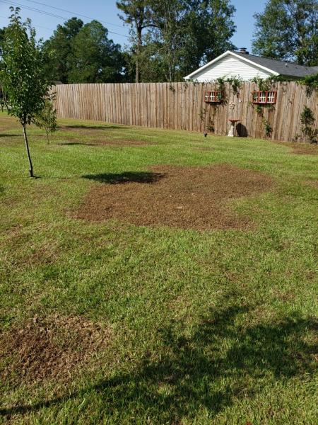 Eastern Turf Maintenance