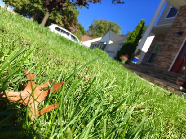 Diaz Touch Landscaping Services