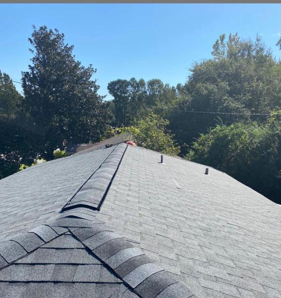 Charleston Roofs + Windows