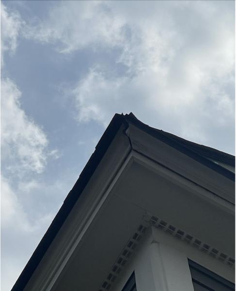Charleston Roofs + Windows