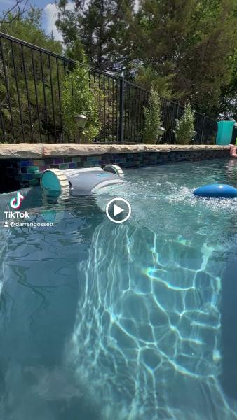 Pool Sharks