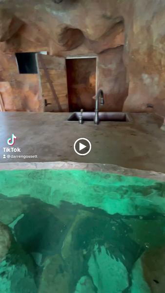 Pool Sharks