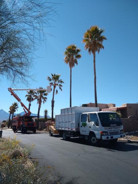 Monstrosity Tree Service LLC