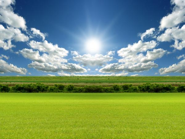 Lawn Care by Bart's Plowing and Mowing LLC