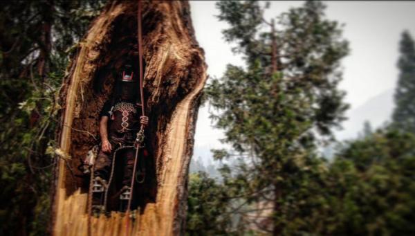 August Hunicke Arborists Inc.