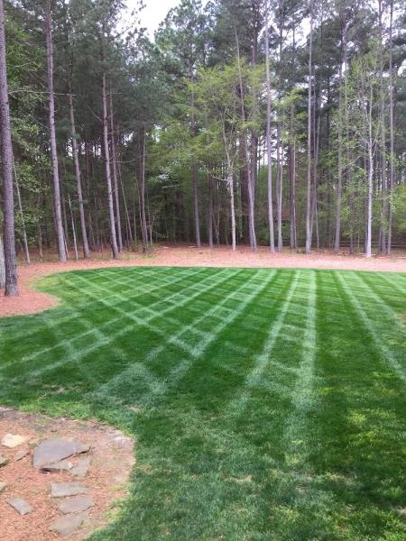Canopy Lawn Care Raleigh