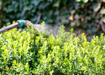 Safe Lawn Inc.