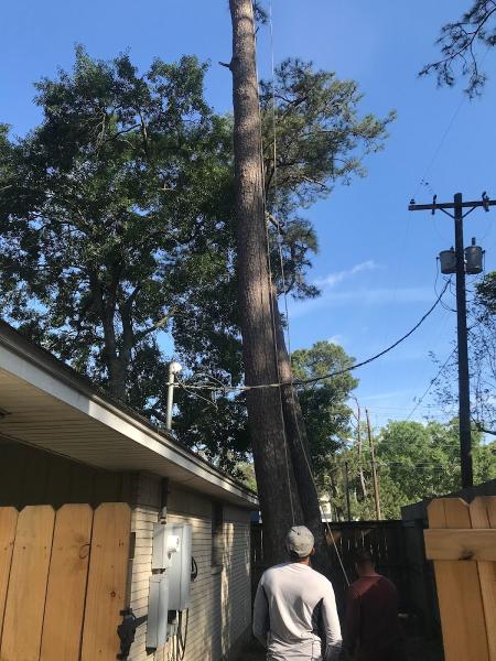Eber's Landscape & Tree Service