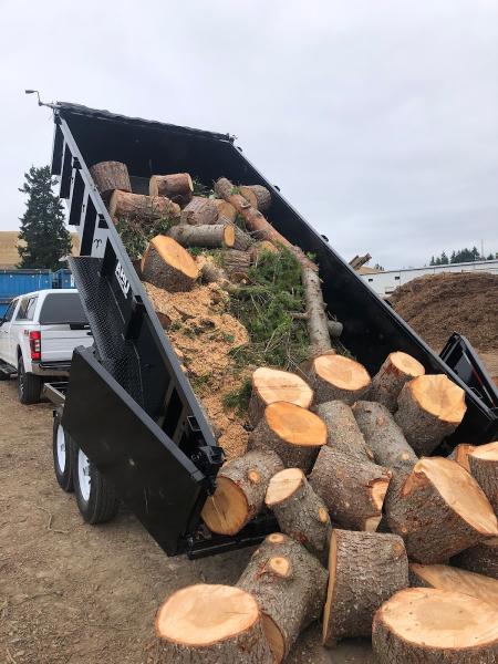 Rainier Tree Service