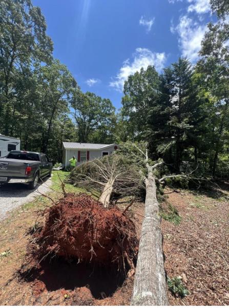 Southland Tree Removal Service