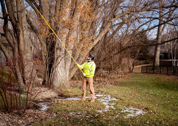 ESD Tree Service LLC