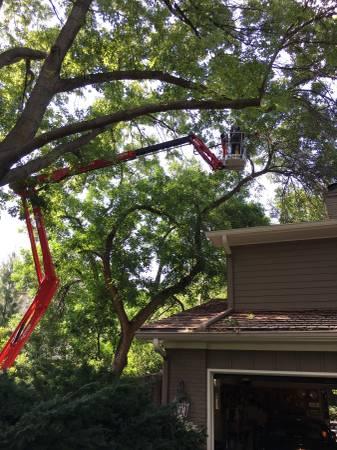 Tree Service