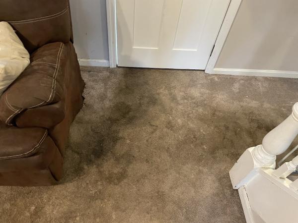 Fact Carpet & Upholstery Cleaning