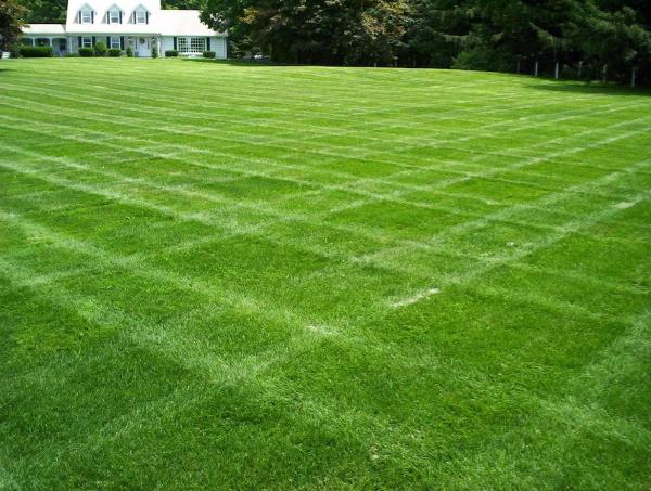 Turf N Timber Landscaping