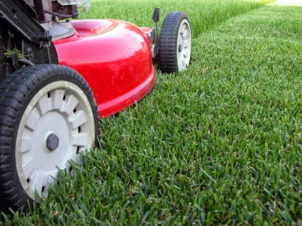 Turf N Timber Landscaping