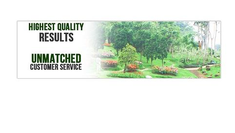 Turf N Timber Landscaping