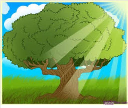 All the Way Up Tree Services