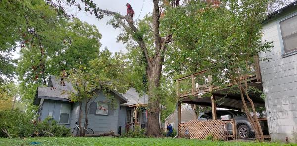 Angel's Tree Service