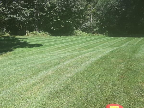 Hoffman Lawn Care