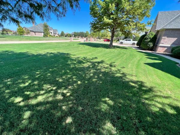 Lawn King