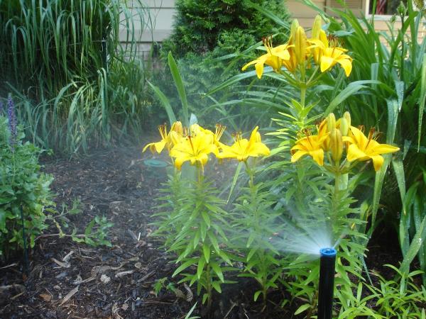 Milwaukee Lawn Sprinkler Corp.