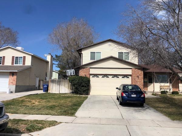 Vemex Tree Removal and Service