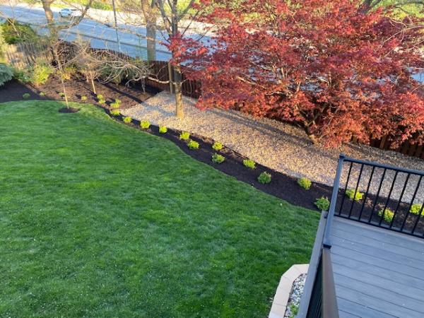 Patera Landscaping