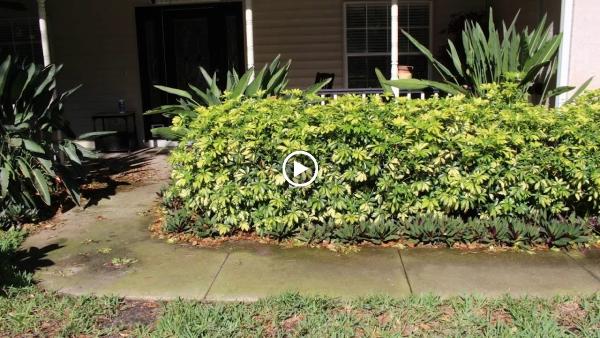 Top Down Exterior Cleaning
