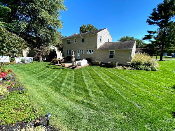 Arborvine Landscaping