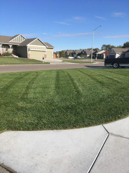 Yard GUY Lawn Service
