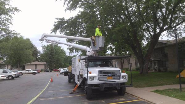 Topnotch Tree Service